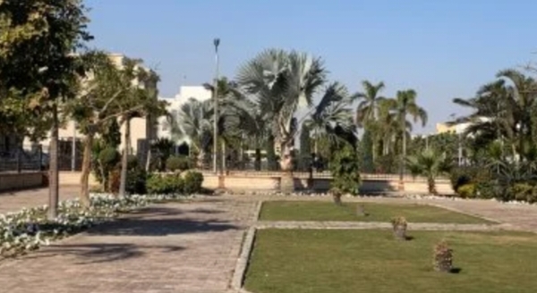 الطقس اليوم في مصر.. أمطار وشبورة مائية والصغرى بالقاهرة 20 درجة